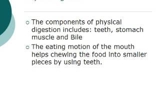 Grade 12 Biology The Digestive System Physical Digestion [upl. by Tamarra528]