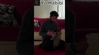 Ya Habibi  ইয়া হাবিবি  gojol  islamicstatus  islamicvideo [upl. by Aitram]