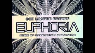 Limited Edition Euphoria Disc 15 Plummet  Damaged Antillas Remix [upl. by Gardol]