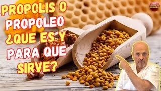 🐝 ¿QUE ES EL PROPOLIS O PROPOLEO Y PARA QUE SIRVE 🐝 [upl. by Sky]