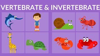 Vertebrate and Invertebrate animals  Video for Kids [upl. by Capwell974]