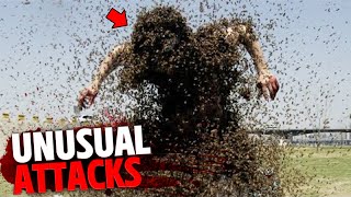 The Most BIZARRE Animal Attacks on Humans MARATHON [upl. by Rufina]