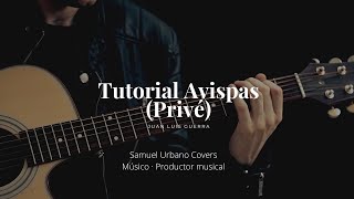 Avispas Tutorial de guitarra [upl. by Reinertson]