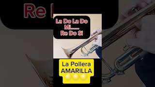 Pollera Amarilla🎺 cancionesdecancha cumbiacontrompeta aprendetrompeta trompetasLa12 Boca la12 [upl. by Cowley]