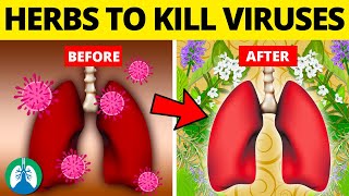 Top 10 Herbs for Lung Health Clearing Mucus COPD and Killing Viruses [upl. by Ogdon]