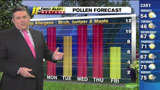 Pollen count Yellow flakes remain despite cooler temperatures [upl. by Doughty]