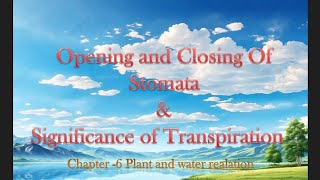 Structure of StomataOpeningampClosing ofStomataSignificance of Transpiration Advantage Disadvantage [upl. by Theresa562]