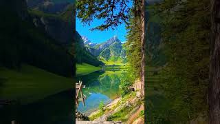 💞🥰Switzerlands natural wonderland shorts swiss nature swisslandscape swissalps song travel [upl. by Dorsy]