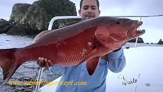 Bahia Solano saltwater fishing in ColombiaADS Fishing Concept [upl. by Eniahs]