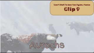 Aurochs STOPMOTION [upl. by Halda495]