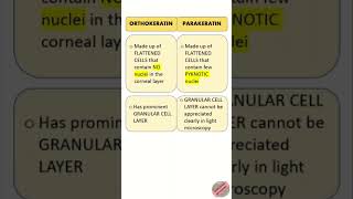 Orthokeratin Vs Parakeratin dental dentistry dentaleducation neetmdspreparation youtubeshorts [upl. by Bert]