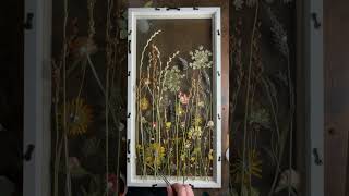 Artist is placing dried flowers to create a pressed flower piece of artwork [upl. by Bor151]