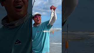 FAKE vs REAL bait Does this really work fishing [upl. by Anayik]