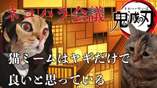 【猫ミーム】【猫マニ】鬼滅の刃のパワハラ会議再現してみた！【ネコハラ会議】 [upl. by Odradlig]