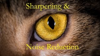 Learn Lightroom 6  Episode 5 Sharpening amp Noise Reduction [upl. by Lorenzo]