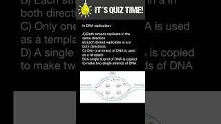 DNA Replication [upl. by Geilich]