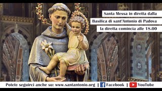 Santa Messa in diretta dalla Basilica del Santo a Padova [upl. by Harragan223]