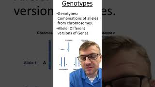 Genotypes Vs Alleles [upl. by Sayed]