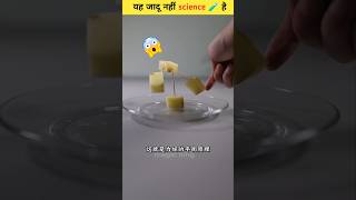 कुछ कमाल के 😯🧪 science experiment scinceexperimentshorts [upl. by Pandolfi848]