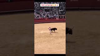 bull jumpers of spain 😱🔥💯 bull valencia [upl. by Idnem]