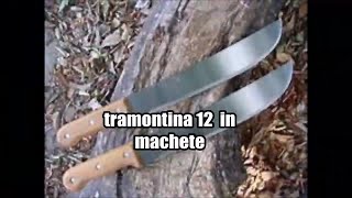 tramontina 12 inch Latin mini machete field test and review [upl. by Joline]