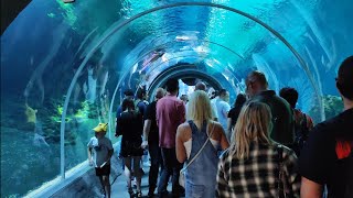 Orientarium Zoo Łódź [upl. by Hahnert]