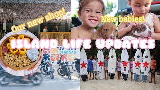 Were Back Island Life Updates New Surf Shop amp Cafe puppies and more [upl. by Buford257]