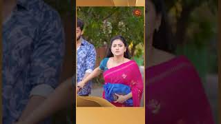 MrManaivi SunTV shorts tamilserial [upl. by Benge253]