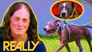 Adoption Risks Falling Through When Stray Dog Krewe Gets Heartworms  Pit Bulls amp Parolees [upl. by Eriam]