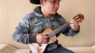 Für EliseHricane top solid KOA wood ukulele fingerstyle cover by Raffy Baking [upl. by Perkins]