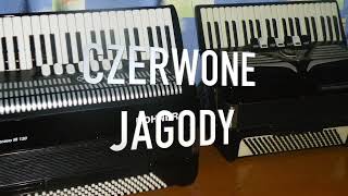 CZERWONE JAGODY  karaoke [upl. by Atinra]