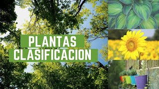 Clasificacion de las plantas explicado para niños [upl. by Aihsenor]