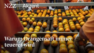 Warum Orangensaft immer teurer wird  NZZ Akzent [upl. by Parsaye]