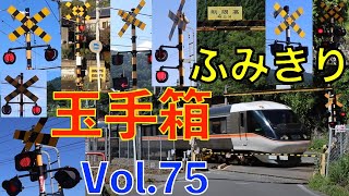 ふみきり玉手箱 Vol75 Japan Railway crossing Special version [upl. by Anitnas]