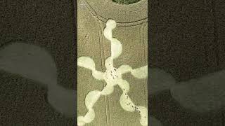 Amazing Stonehenge Crop Circle  30 June 2024  Crop Circles From The Air  shorts [upl. by Ahsatan1]