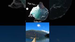 Physics High amp low Tides  Animation Explain shorts physics animation science viral tranding [upl. by Manda903]