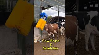 Automatic Swinging Cow Brush Back Scratcher shorts technology fyp cow farming viralvideo yt [upl. by Kynthia411]