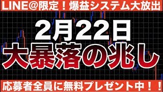 【予言】〇〇の影響で、仮想通貨市場は2月22日に大暴落する⁉︎ [upl. by Vastha]