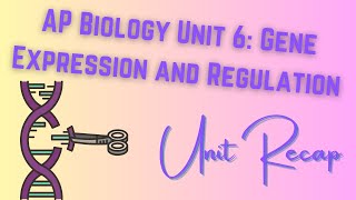 Unit 6 Gene Expression and Regulation AP Biology RECAP [upl. by Noiramaj574]