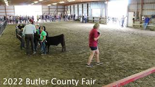 2022 Butler County Fair  4H and FFA Beef Show part 2 [upl. by Halette]