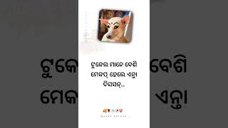 New Sambalpuri Shayri  Manar Katha shorts sambalpurishayari manarkathaa [upl. by Notluf]