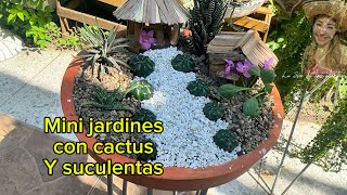 Mini jardines con cactus y suculentas [upl. by Ivor714]