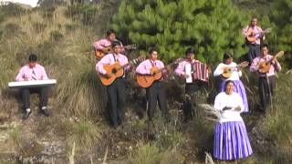 conjunto Instrumental Mensajeros de Cristo  Por la Gracia [upl. by Landers325]