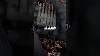 Caricatore carcano 91 ww1 metaldetecting antiquariato militaria archeologia metaldetector [upl. by Eidnim]