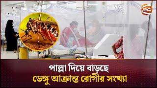 পাল্লা দিয়ে বাড়ছে ডেঙ্গু আক্রান্ত রোগীর সংখ্যা  Dengue Update  Channel 24 [upl. by Boardman]