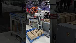 Elite Robots CP Series Palletizing Solution at CIIF 2024  Robotics Show [upl. by Donella]