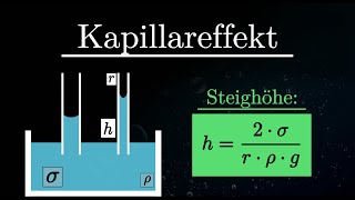 Kapillareffekt EINFACH erklärt  Kapillarität Experiment Oberflächenspannung Physik [upl. by Anertac304]