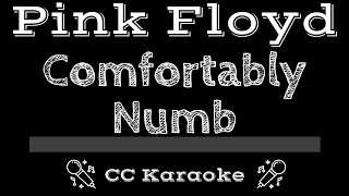 Pink Floyd • Comfortably Numb CC Karaoke Instrumental Lyrics [upl. by Ahsille]