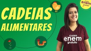 CADEIAS ALIMENTARES  Resumo de Biologia para o Enem [upl. by Knudson]