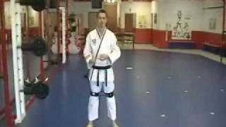 FAST KICK TRAINING  hip and leg strength for Martial Arts [upl. by Sibyls]